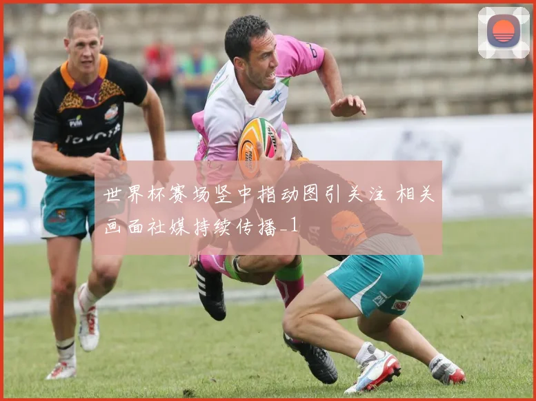 世界杯赛场竖中指动图引关注 相关画面社媒持续传播_1
