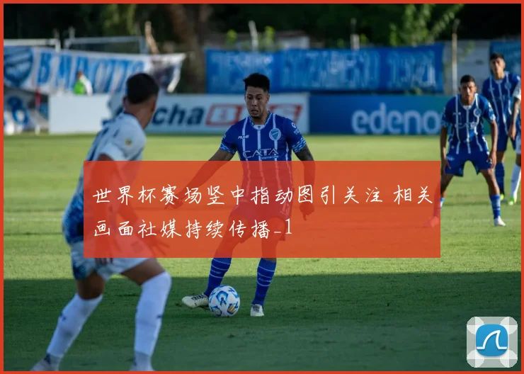 世界杯赛场竖中指动图引关注 相关画面社媒持续传播_1