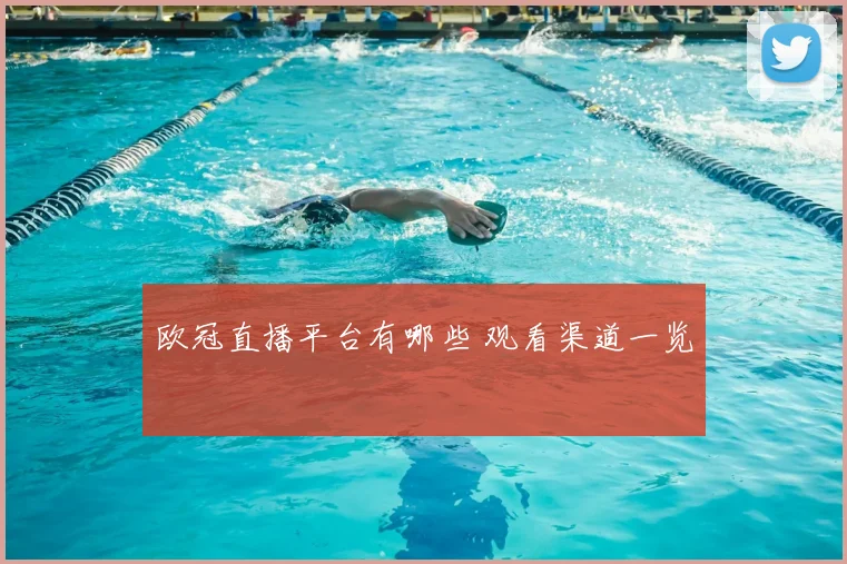 欧冠直播平台有哪些 观看渠道一览