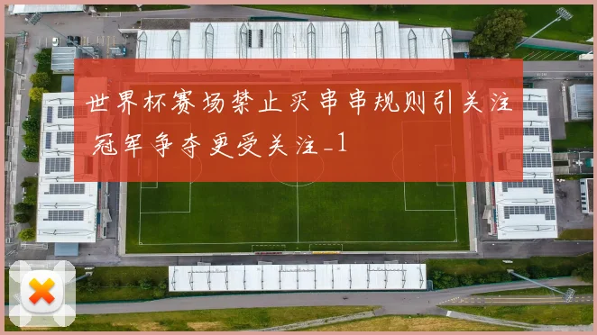 世界杯赛场禁止买串串规则引关注 冠军争夺更受关注_1